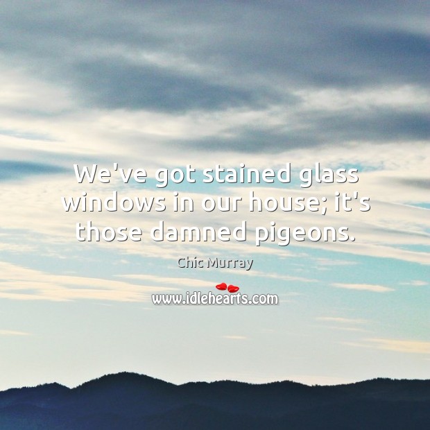 We’ve got stained glass windows in our house; it’s those damned pigeons. Chic Murray Picture Quote