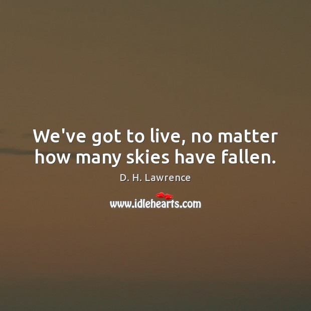 We’ve got to live, no matter how many skies have fallen. D. H. Lawrence Picture Quote