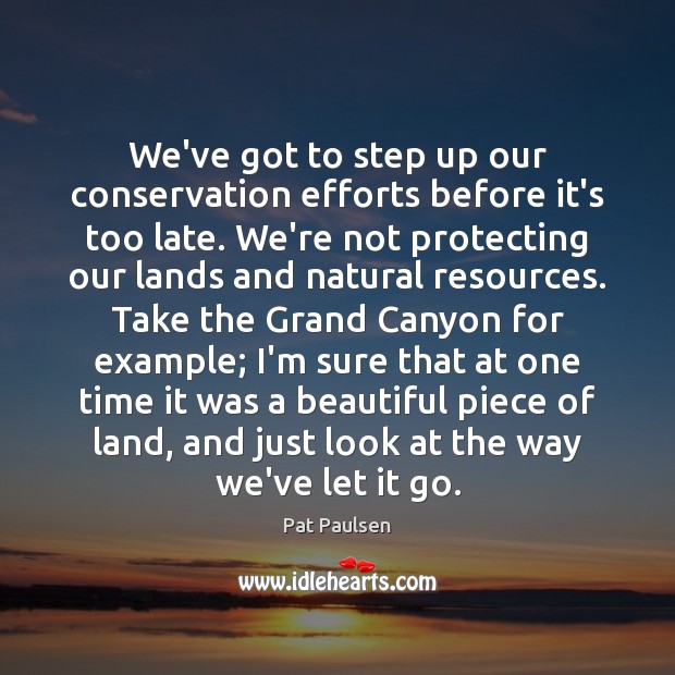 We’ve got to step up our conservation efforts before it’s too late. Pat Paulsen Picture Quote