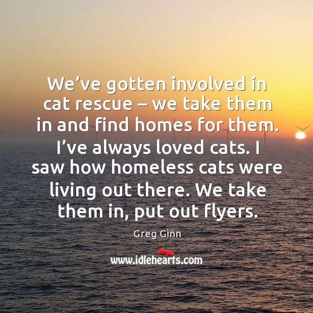 We’ve gotten involved in cat rescue – we take them in and find homes for them. Greg Ginn Picture Quote