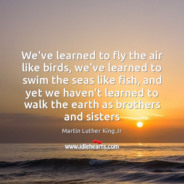We’ve learned to fly the air like birds, we’ve learned to swim Martin Luther King Jr Picture Quote