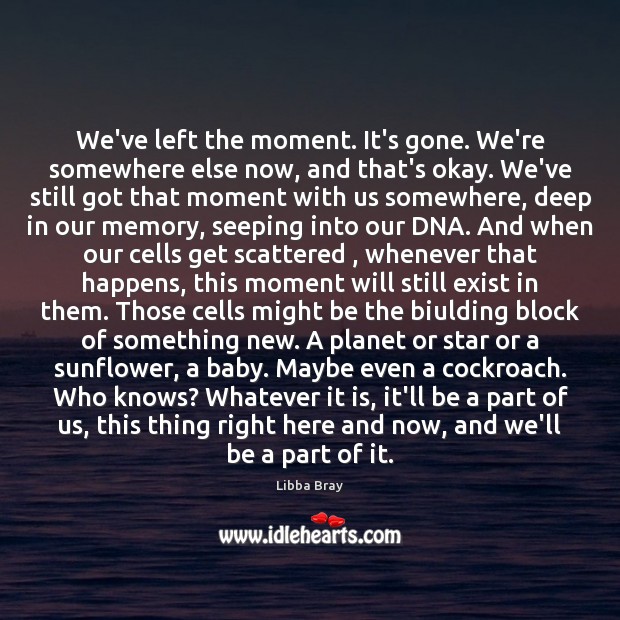 We’ve left the moment. It’s gone. We’re somewhere else now, and that’s Libba Bray Picture Quote