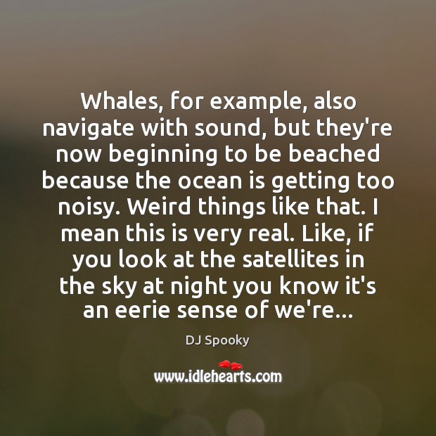 Whales, for example, also navigate with sound, but they’re now beginning to Image