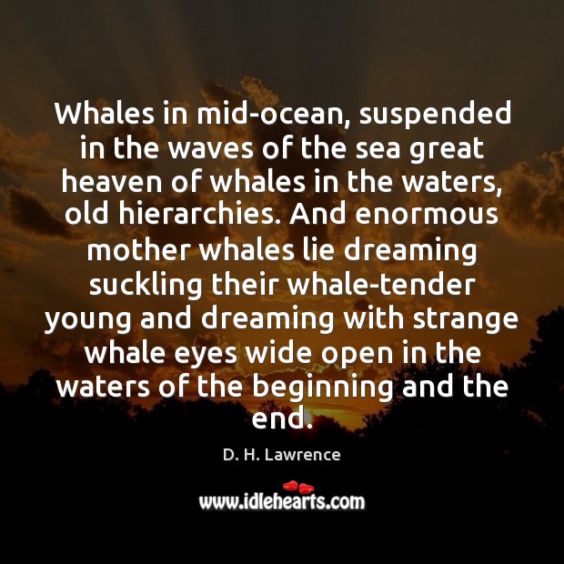 Whales in mid-ocean, suspended in the waves of the sea great heaven Dreaming Quotes Image