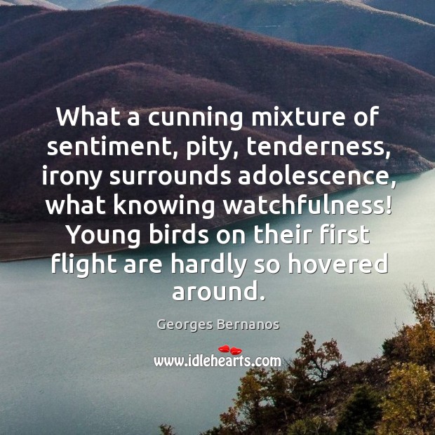 What a cunning mixture of sentiment, pity, tenderness, irony surrounds adolescence, what Georges Bernanos Picture Quote
