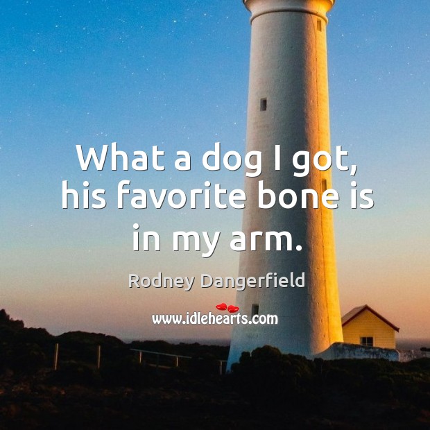 What a dog I got, his favorite bone is in my arm. Rodney Dangerfield Picture Quote