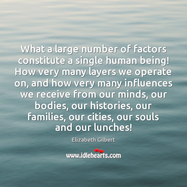 What a large number of factors constitute a single human being! How Elizabeth Gilbert Picture Quote