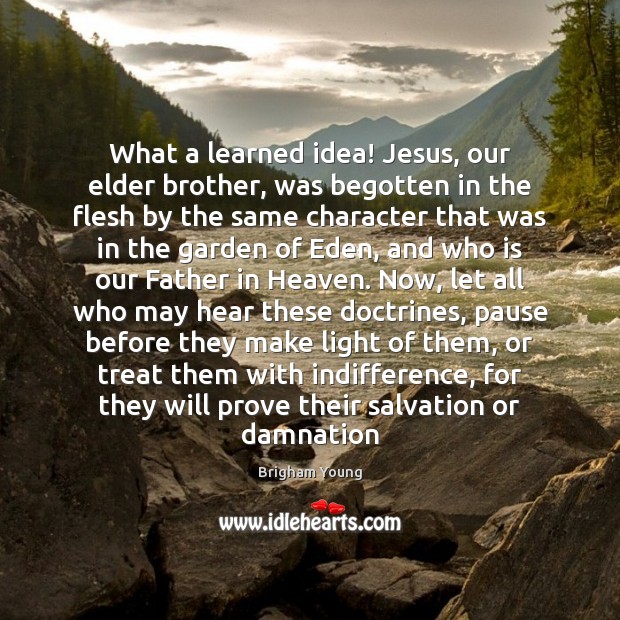 What a learned idea! Jesus, our elder brother, was begotten in the 
