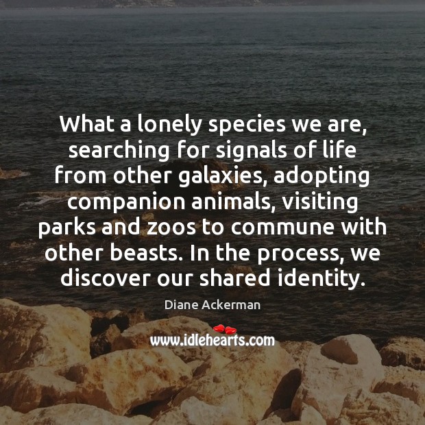 What a lonely species we are, searching for signals of life from 