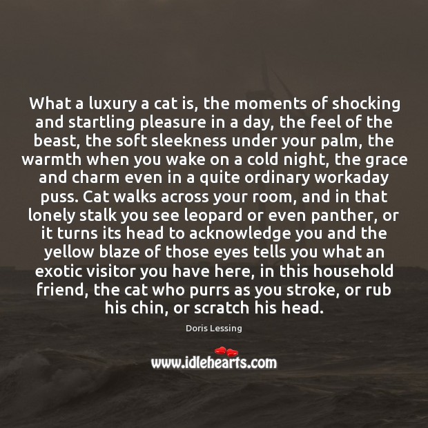 What a luxury a cat is, the moments of shocking and startling Doris Lessing Picture Quote