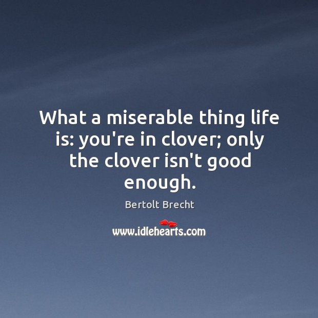 What a miserable thing life is: you’re in clover; only the clover isn’t good enough. Bertolt Brecht Picture Quote