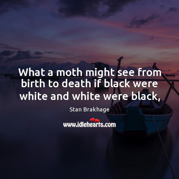 What a moth might see from birth to death if black were white and white were black, Stan Brakhage Picture Quote