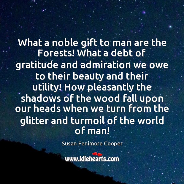 What a noble gift to man are the Forests! What a debt Susan Fenimore Cooper Picture Quote