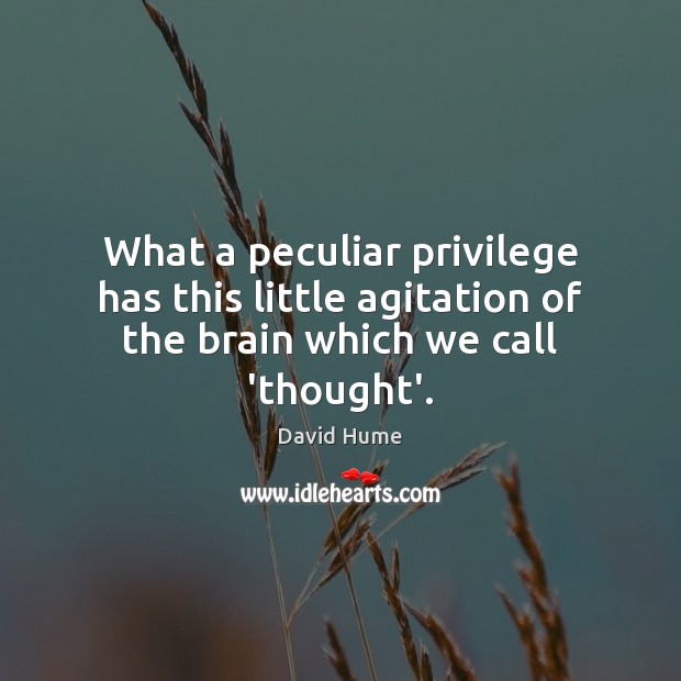 What a peculiar privilege has this little agitation of the brain which we call ‘thought’. David Hume Picture Quote
