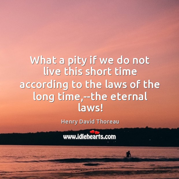 What a pity if we do not live this short time according Henry David Thoreau Picture Quote