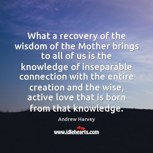 What a recovery of the wisdom of the Mother brings to all Andrew Harvey Picture Quote
