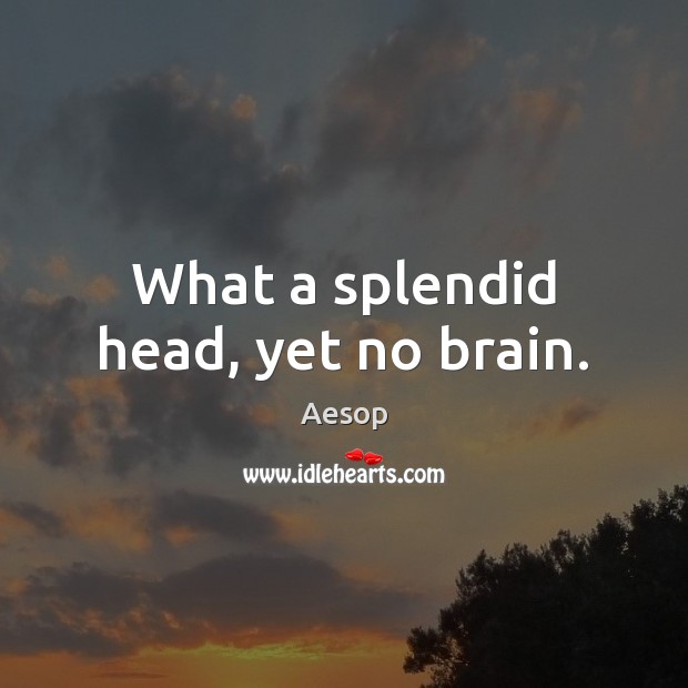 What a splendid head, yet no brain. Aesop Picture Quote