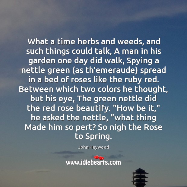 What a time herbs and weeds, and such things could talk, A Image