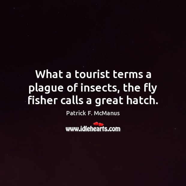 What a tourist terms a plague of insects, the fly fisher calls a great hatch. Patrick F. McManus Picture Quote