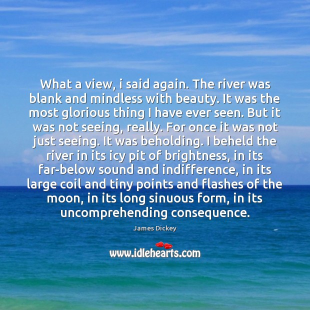 What a view, i said again. The river was blank and mindless James Dickey Picture Quote