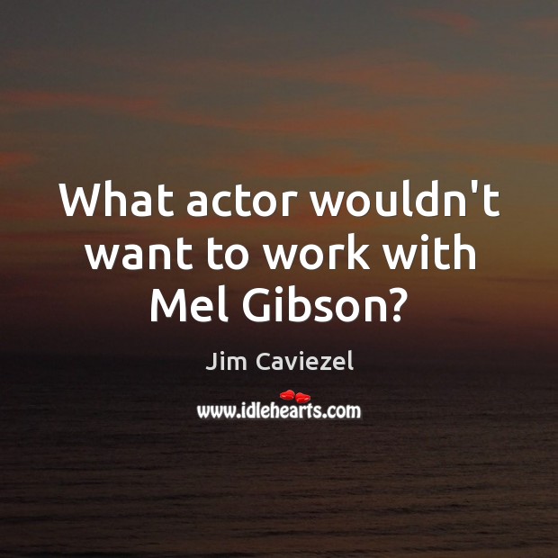 What actor wouldn’t want to work with Mel Gibson? Image