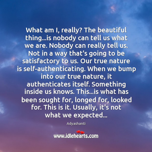What am I, really? The beautiful thing…is nobody can tell us Adyashanti Picture Quote