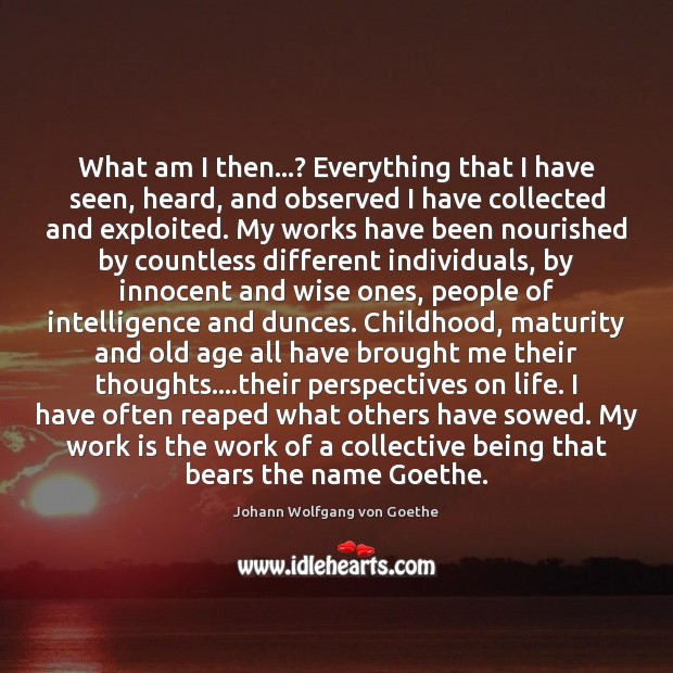 What am I then…? Everything that I have seen, heard, and observed Work Quotes Image