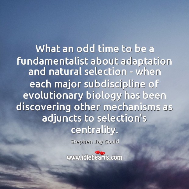 What an odd time to be a fundamentalist about adaptation and natural Stephen Jay Gould Picture Quote