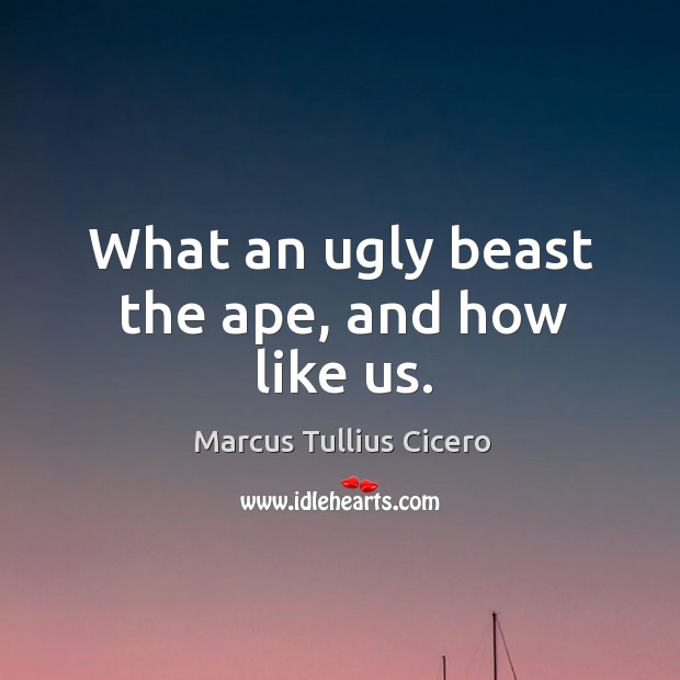 What an ugly beast the ape, and how like us. Marcus Tullius Cicero Picture Quote