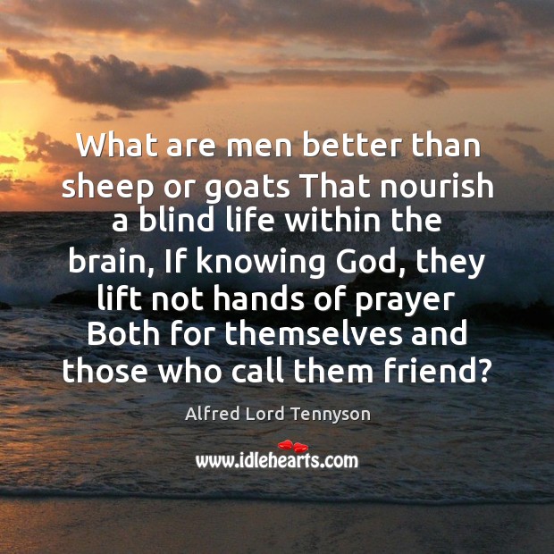 What are men better than sheep or goats That nourish a blind Image