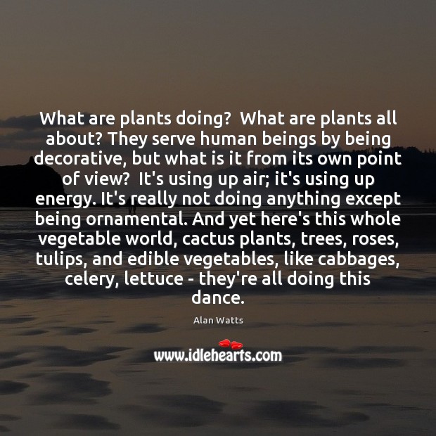 What are plants doing?  What are plants all about? They serve human Image