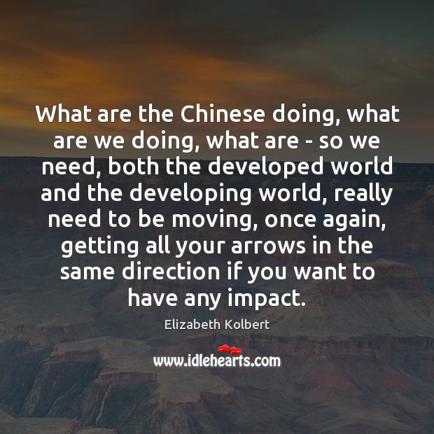 What are the Chinese doing, what are we doing, what are – Elizabeth Kolbert Picture Quote