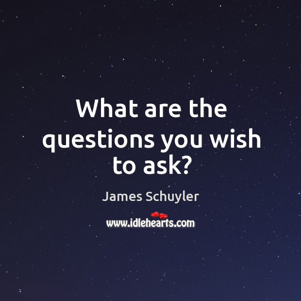 What are the questions you wish to ask? James Schuyler Picture Quote