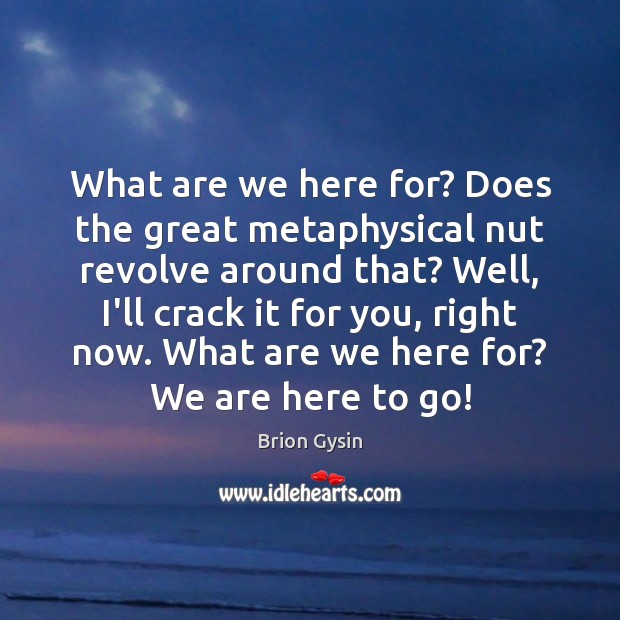 What are we here for? Does the great metaphysical nut revolve around Image