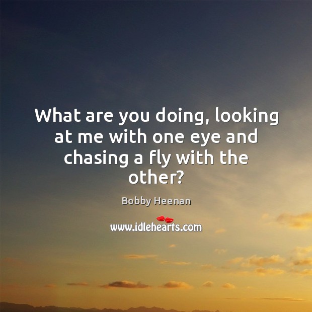 What are you doing, looking at me with one eye and chasing a fly with the other? Bobby Heenan Picture Quote