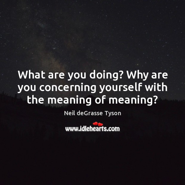 What are you doing? Why are you concerning yourself with the meaning of meaning? Neil deGrasse Tyson Picture Quote