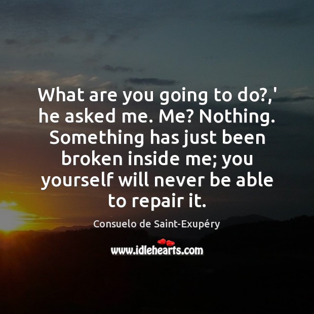 What are you going to do?,’ he asked me. Me? Nothing. Consuelo de Saint-Exupéry Picture Quote