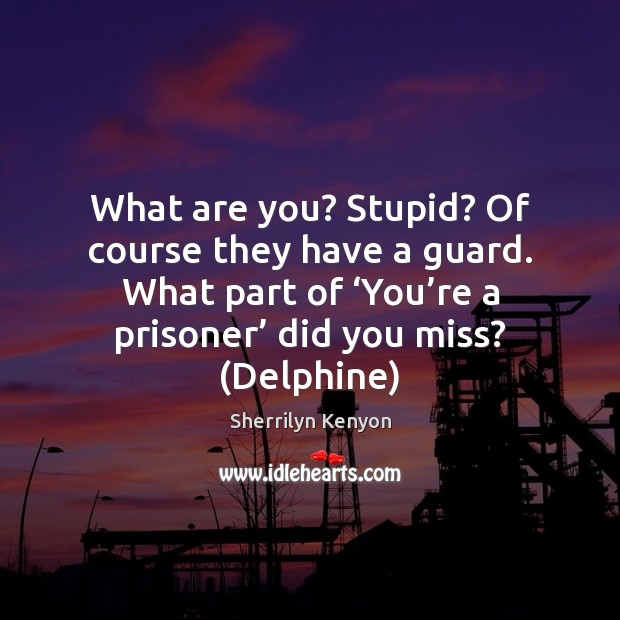 What are you? Stupid? Of course they have a guard. What part Sherrilyn Kenyon Picture Quote