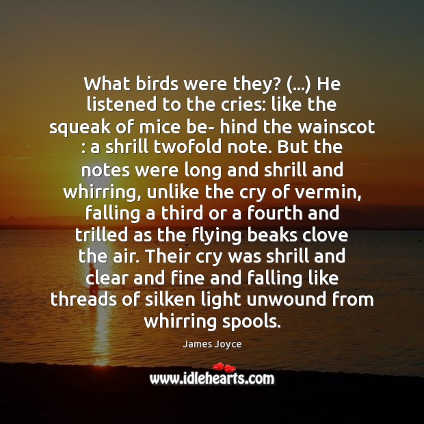 What birds were they? (…) He listened to the cries: like the squeak Image