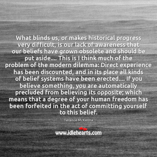 What blinds us, or makes historical progress very difficult, is our lack Terence McKenna Picture Quote