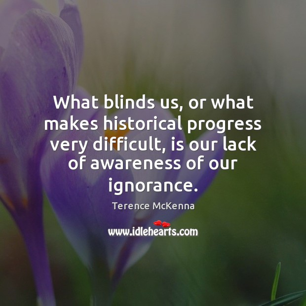 What blinds us, or what makes historical progress very difficult, is our Terence McKenna Picture Quote