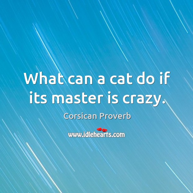 What can a cat do if its master is crazy. Corsican Proverbs Image