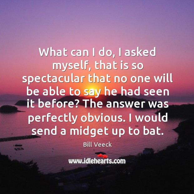 What can I do, I asked myself, that is so spectacular that no one will be able to say he had seen it before? Bill Veeck Picture Quote