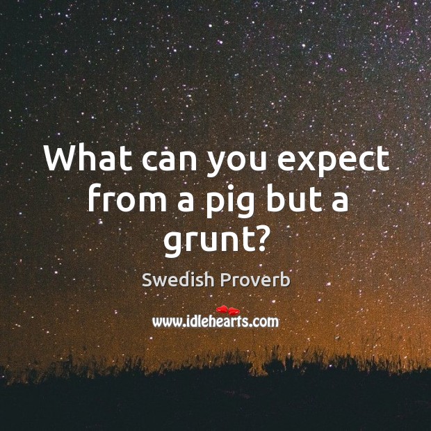 What can you expect from a pig but a grunt? Swedish Proverbs Image