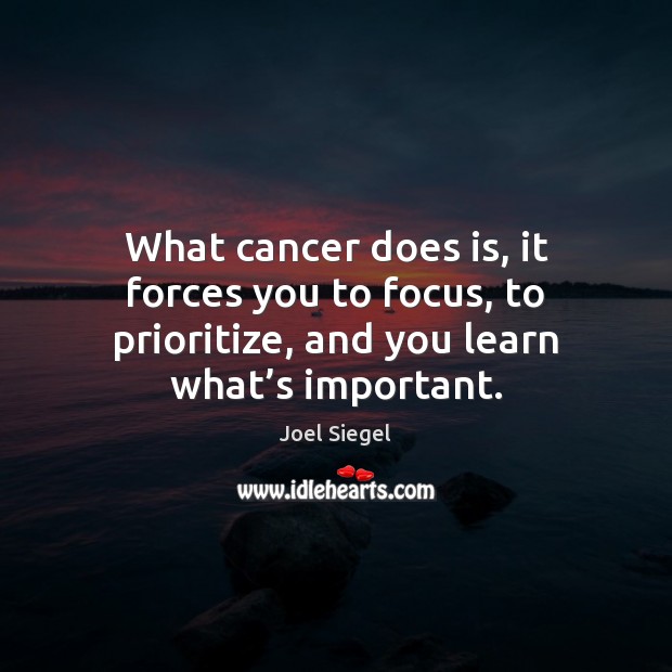 What cancer does is, it forces you to focus, to prioritize, and Joel Siegel Picture Quote