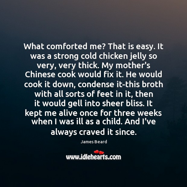 What comforted me? That is easy. It was a strong cold chicken James Beard Picture Quote