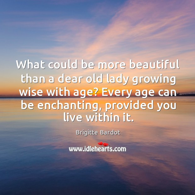 What could be more beautiful than a dear old lady growing wise with age? Brigitte Bardot Picture Quote