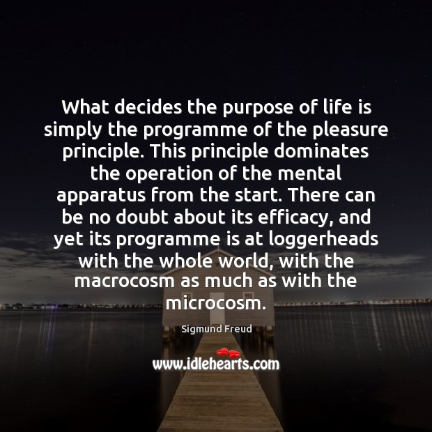 What decides the purpose of life is simply the programme of the Sigmund Freud Picture Quote