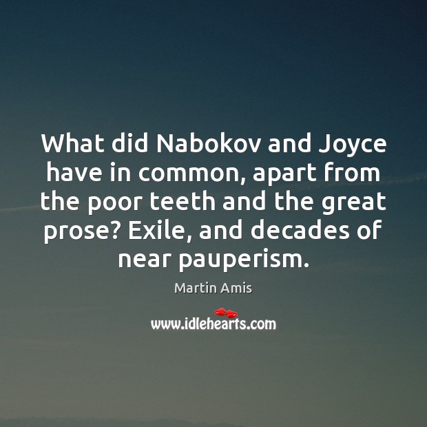 What did Nabokov and Joyce have in common, apart from the poor Martin Amis Picture Quote