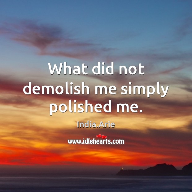 What did not demolish me simply polished me. Image